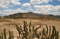 Projeto de lei visa proteger o bioma Caatinga